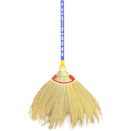 LuzViminda | Authentic Filipino StoreSoft Broom (Walis Tambo) 20PCS