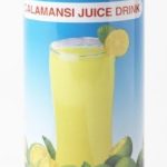 gina-juice-calamansi-8-fo-pack-of-30