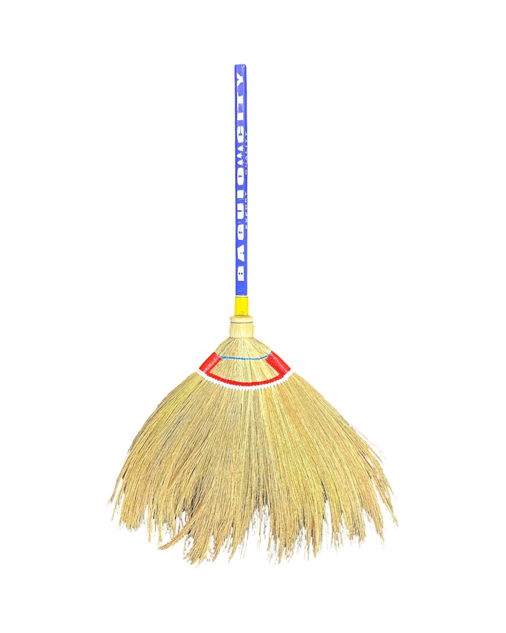 LuzViminda | Authentic Filipino StoreSoft Broom (Walis Tambo) 20PCS