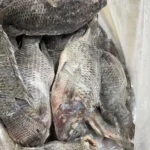 frozen-tilapia-350-550gm-pafco-1-40lbs