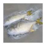 frozen-pompano-golden-500-600