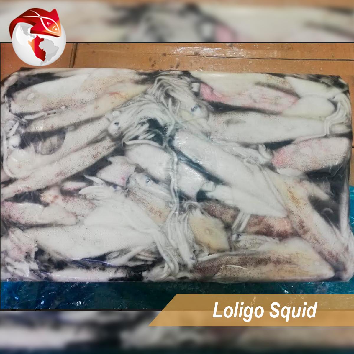 LuzViminda | Authentic Filipino StoreFrozen Squid Loligo 5lbs (Wild) 30lbs